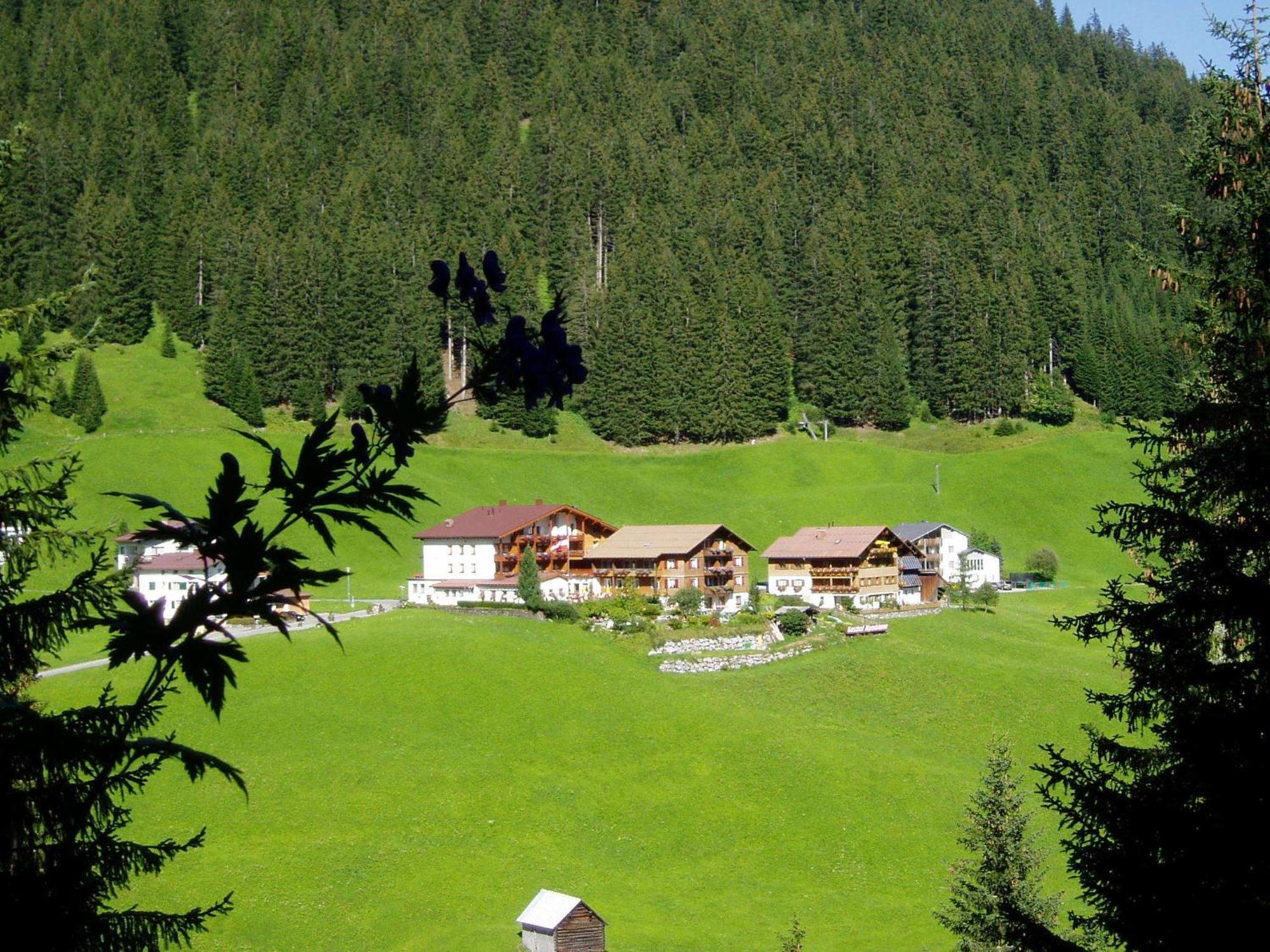 Hotel Alpenblume 达米尔斯 外观 照片