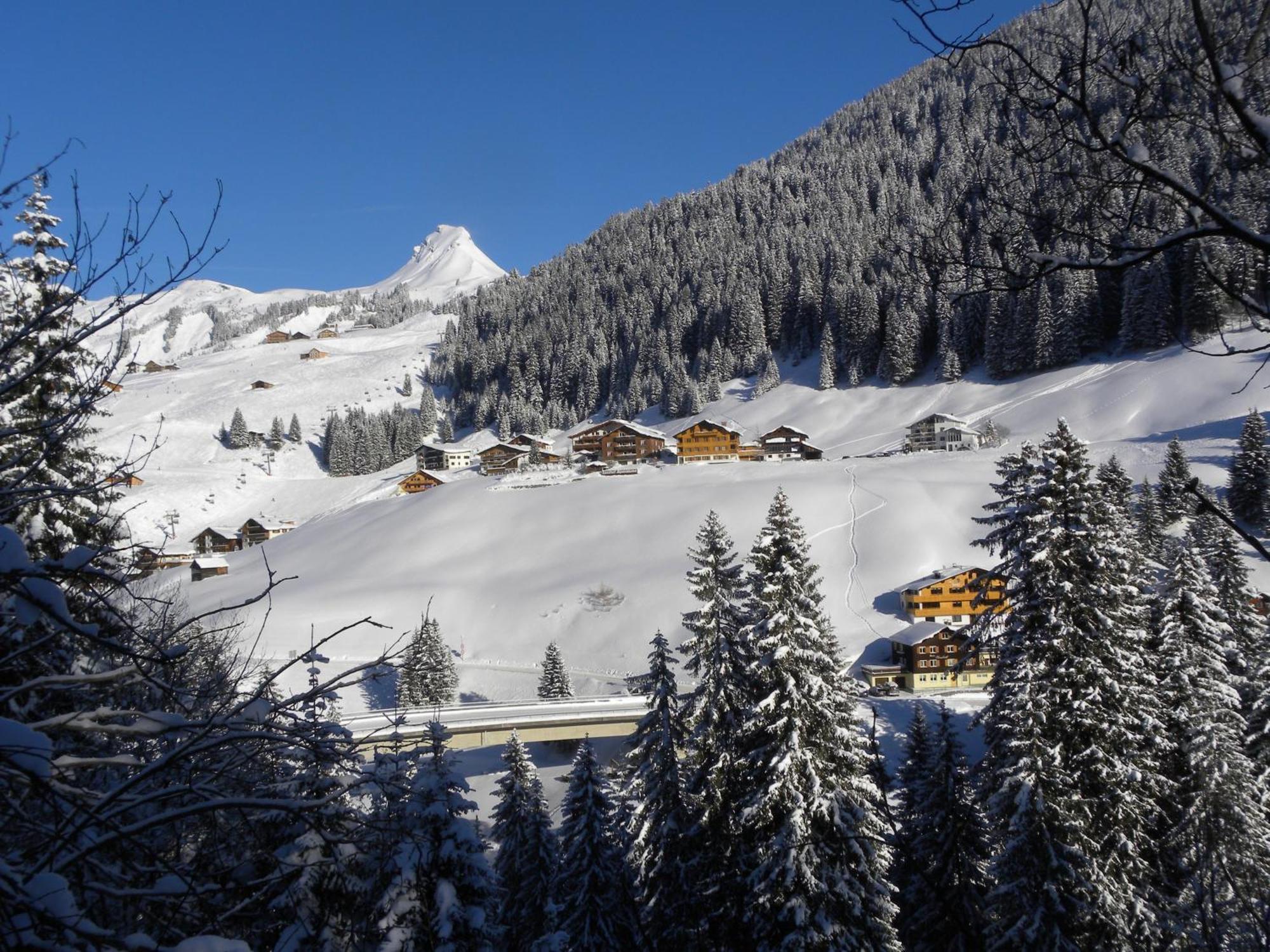 Hotel Alpenblume 达米尔斯 外观 照片